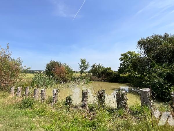 MONTHODON (37110) - Charmante fermette au cœur de la campagne 
Entre Tours et Vendôme