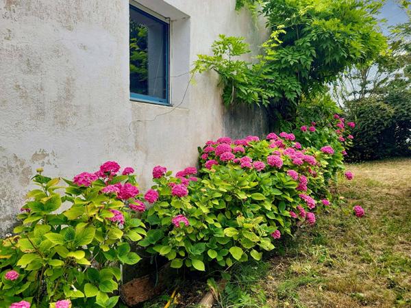 Maison Notre Dame De Monts 6 pièce(s) 119.38 m2