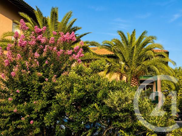 Appartement T3 à vendre  3 pièces - 66,06 m 2   ANGLET  - 64