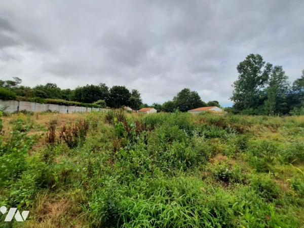 SAINT HILAIRE DE RIEZ- Quartier Le Pissot