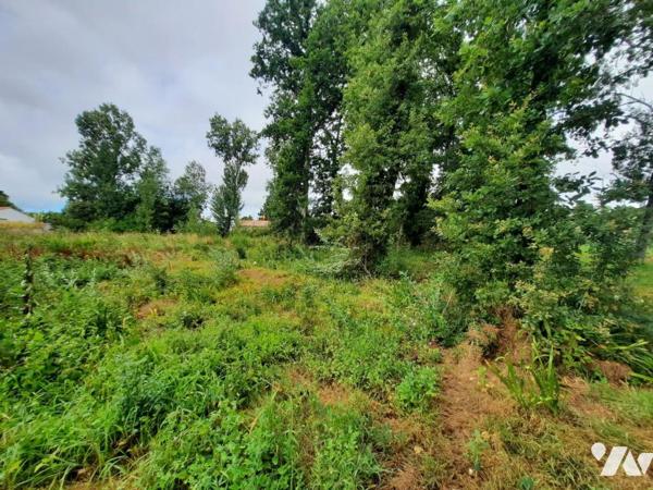 SAINT HILAIRE DE RIEZ- Quartier Le Pissot