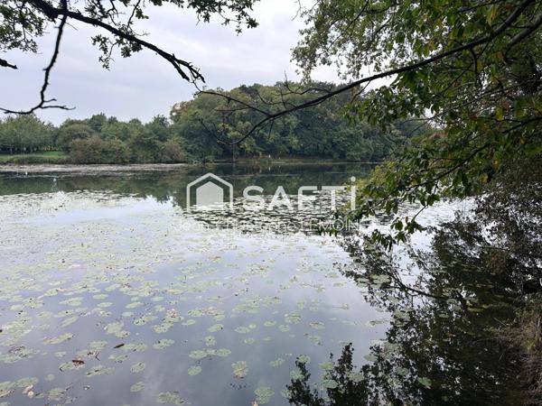 Propriété de chasse,maison,foret,étang sur 8.5 ha