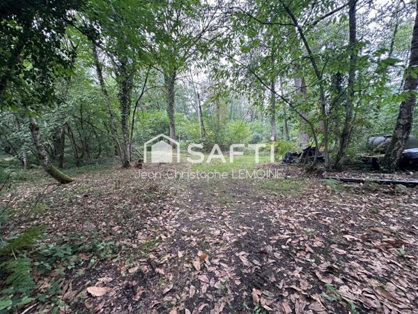 Propriété de chasse,maison,foret,étang sur 8.5 ha