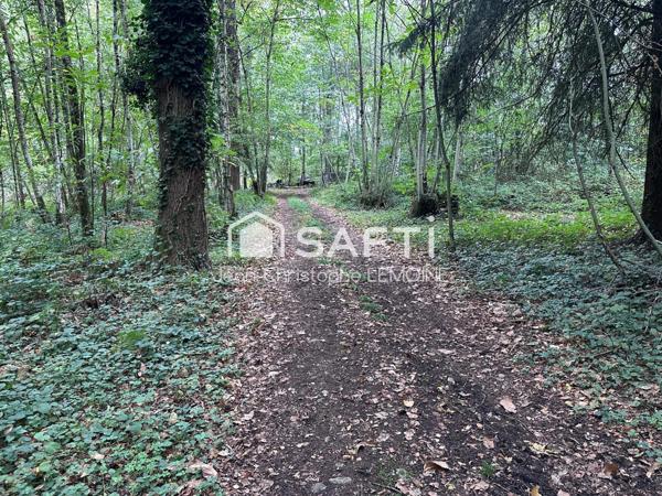 Propriété de chasse,maison,foret,étang sur 8.5 ha