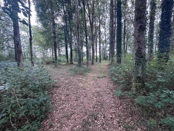 Propriété de chasse,maison,foret,étang sur 8.5 ha