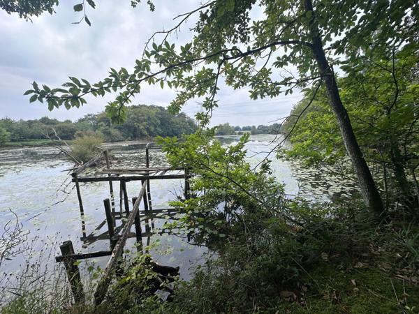 Propriété de chasse,maison,foret,étang sur 8.5 ha