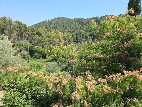 Maison T4, 3 chambres. Vous cherchez une maison à Sollies-Ville avec terrain?