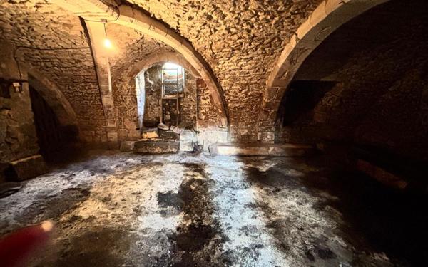 Immeuble à vendre    8 pièces • 261,79 m2 Chauvigny