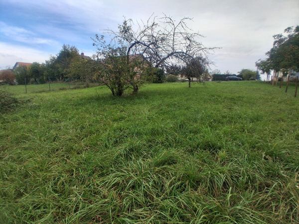 TERRAIN A BATIR DESANDANS 1203 m2