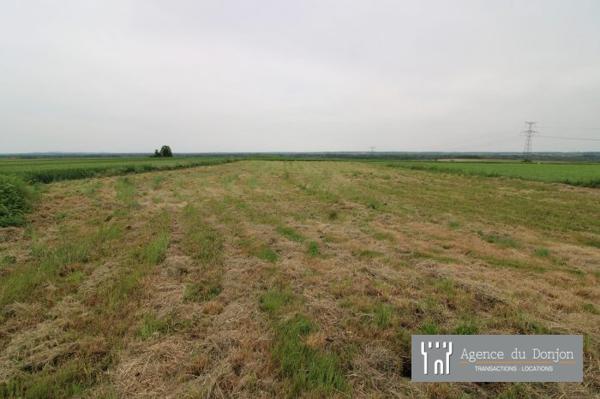 Maison ancienne Chaniers 301 m²