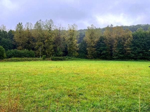 À vendre – Terrain constructible à Courdemanche (72150) – 3 175 m² en pleine nature, à 650 m des commodités
