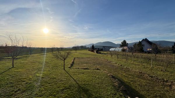 Appartement - 4 pièces - 83 m²