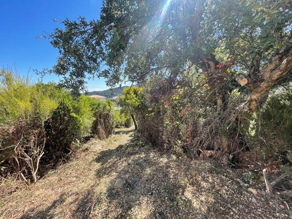 Vente terrain 2792 m² vue mer et montagne Partine - Santa Maria Di Lota