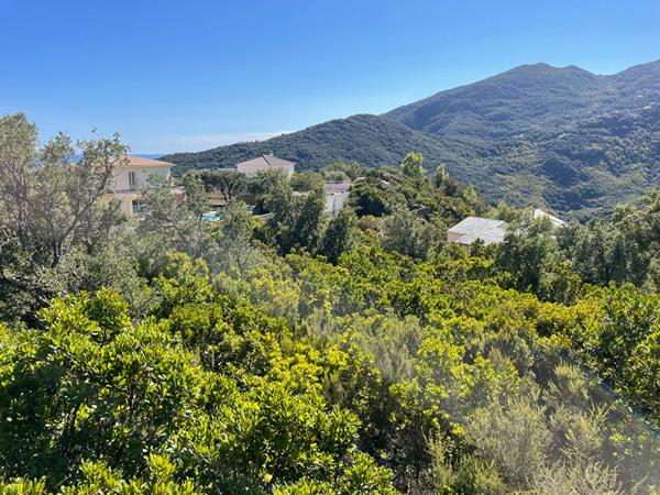 Vente terrain 2792 m² vue mer et montagne Partine - Santa Maria Di Lota