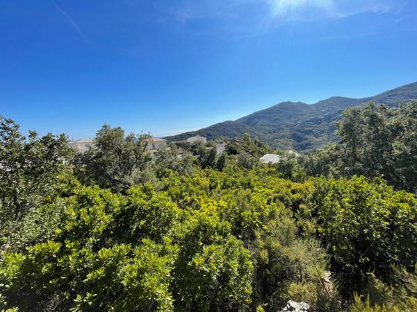 Vente terrain 2792 m² vue mer et montagne Partine - Santa Maria Di Lota