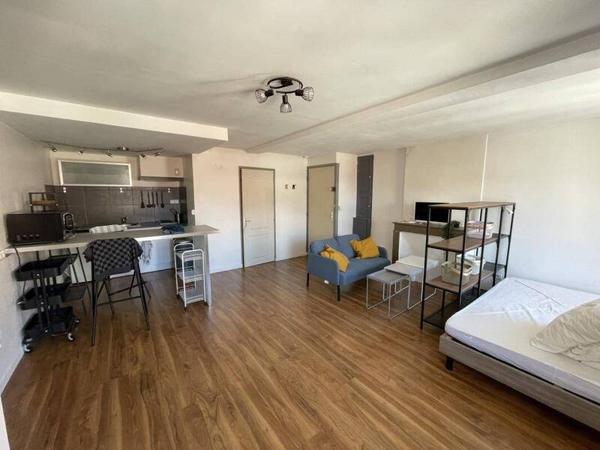 Appartement 1 pièce                                        - 42000 Saint-Étienne Réf : 13231