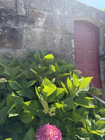 Maison à vendre à Auray dans le Morbihan (56400), ref : 56024-773