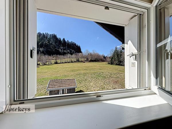 Appartement Gérardmer - vue Lac