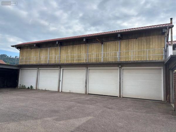 Achat - Immeuble | Entrepôt Le Val-d'Ajol 88340 700 m 2 1130 m 2