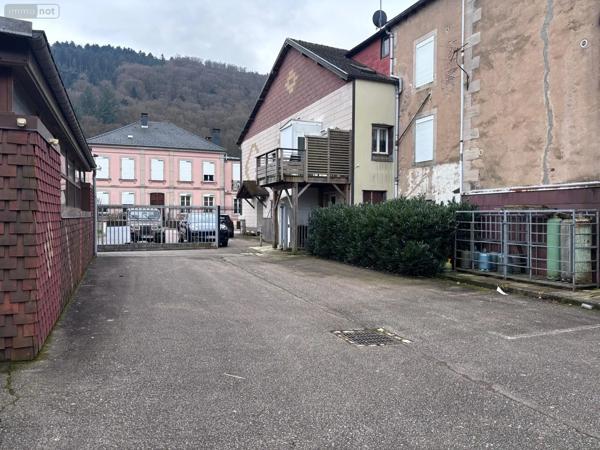 Achat - Immeuble | Entrepôt Le Val-d'Ajol 88340 700 m 2 1130 m 2