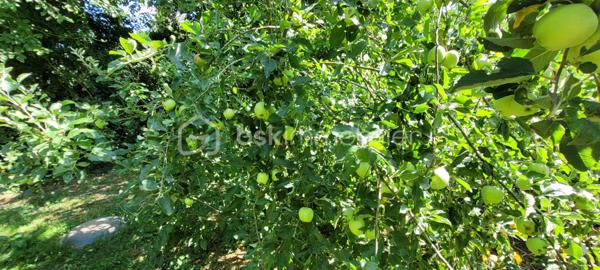 Maison longere de 70 m²