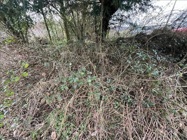 Terrain à vendre |  Lannéanou |  1024 m²