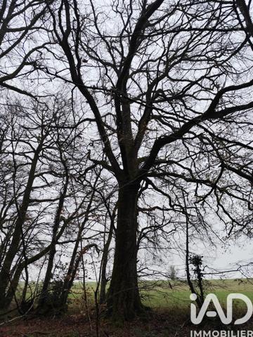 Terrain à vendre 29 105 m² La Chapelotte