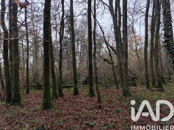 Terrain à vendre 29 105 m² La Chapelotte