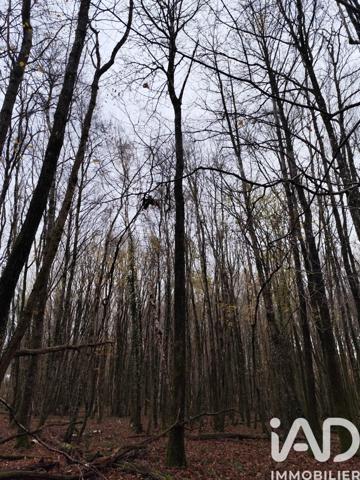 Terrain à vendre 29 105 m² La Chapelotte