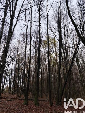 Terrain à vendre 29 105 m² La Chapelotte