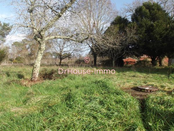 Terrain à vendre de 4 260 m²