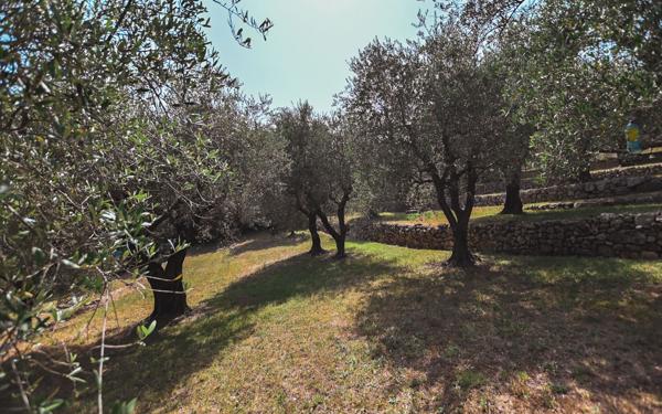 Maison à vendre    5 pièces • 265 m2 Cabris