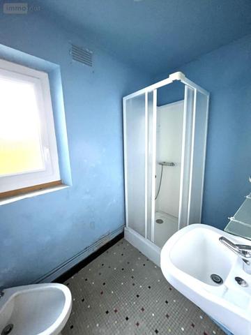 Maison à vendre à La Chapelle-Saint-Sauveur en Loire-Atlantique (44370), ref : 49019-3382