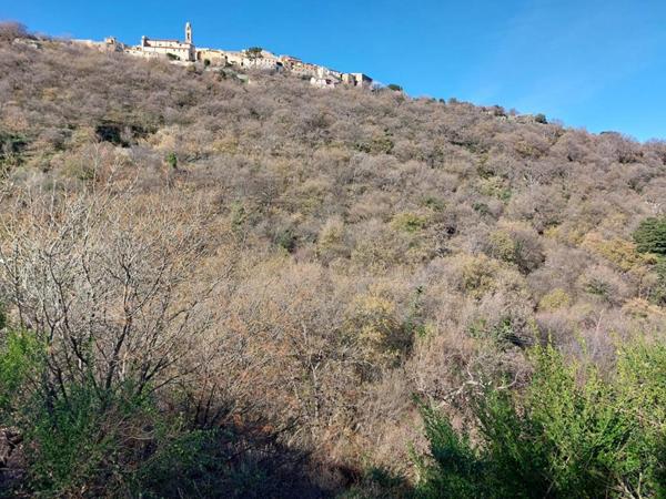 Terrain Constructible à Ville Di Paraso de 3 803 m² avec PC