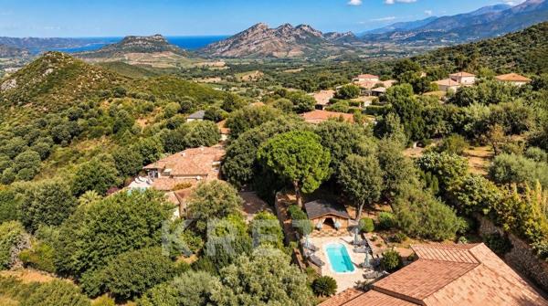 Villa avec Piscine et Jacuzzi - Poggio d'Oletta, Hauteurs Saint-Florent