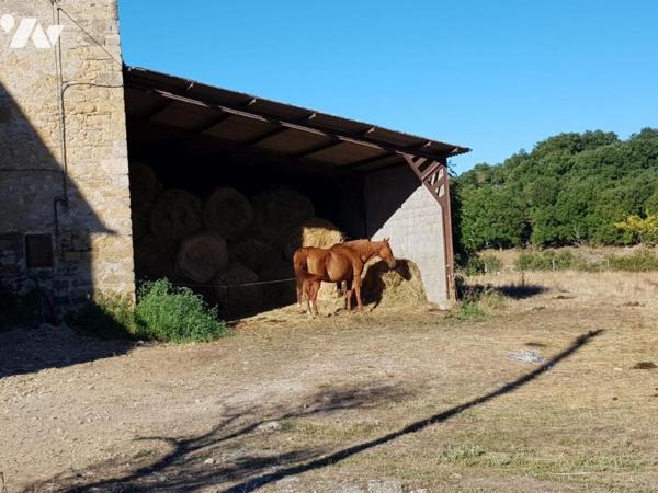 Ancienne maison de maître avec dépendances sur terrain de 11115 m²
