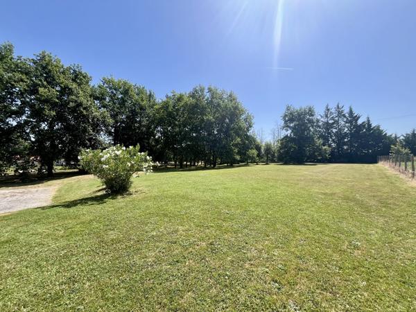 MONTAUBAN - Montauban (82000)