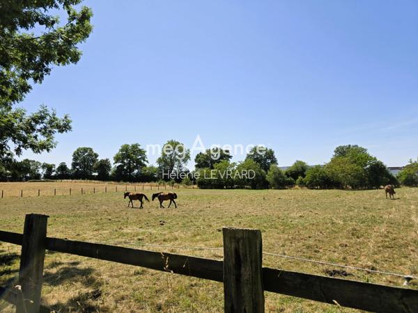Maison à Évron, 53600 - 11 pièces 263m²