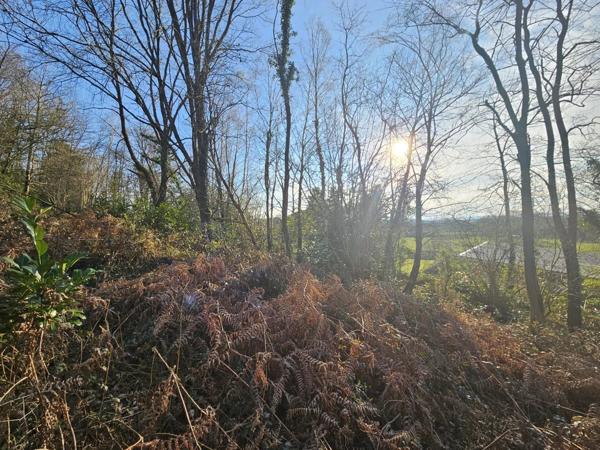 Vente Terrain 5298 m2 à Barbazan-Debat