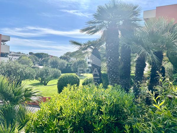 Appartement Antibes 3 pièce(s)