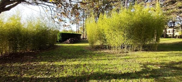Rabastens: beau terrain de 1100m2 constructible