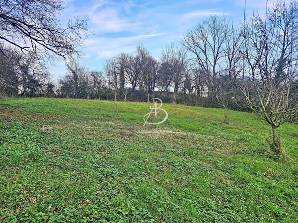 Terrain constructible axe NANCY / EPINAL