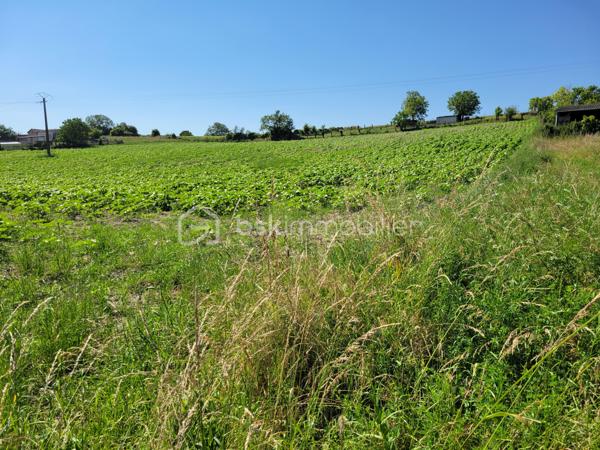 Terrain de 3 688 m²