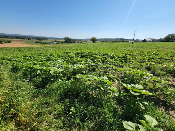 Terrain de 3 688 m²