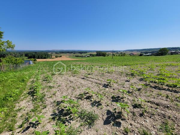 Terrain de 3 688 m²