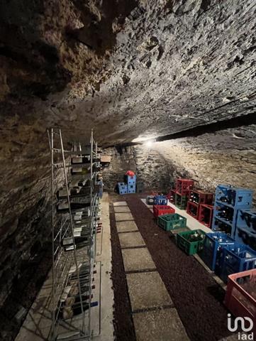 Hôtel  à vendre 361 m² Bourg-Lastic