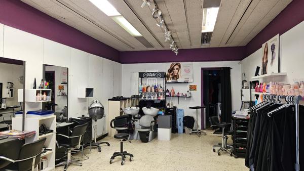 Eauze (32800) MAISON DE VILLE T6 - 178M² AVEC HABITATION ET COMMERCE / EAUZE