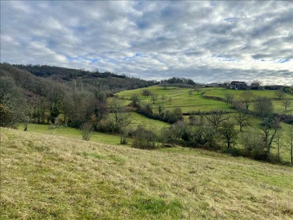 Terrain à vendre |  Meyssac |  7150 m²