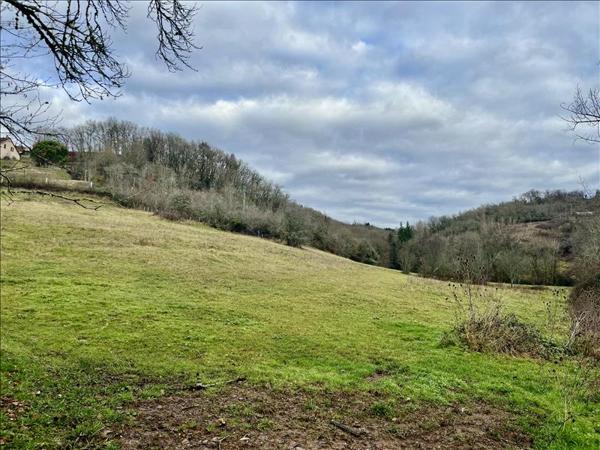 Terrain à vendre |  Meyssac |  7150 m²