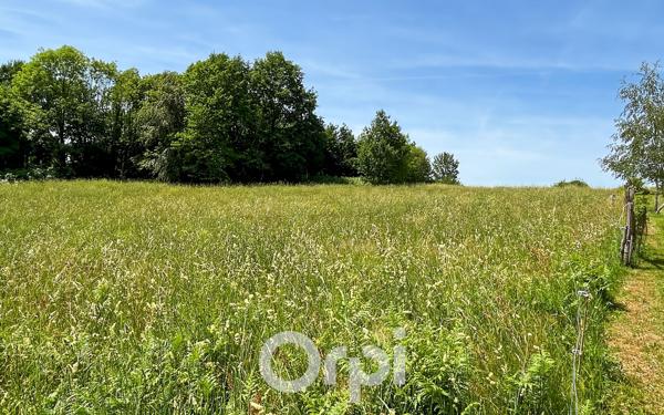 Terrain à vendre